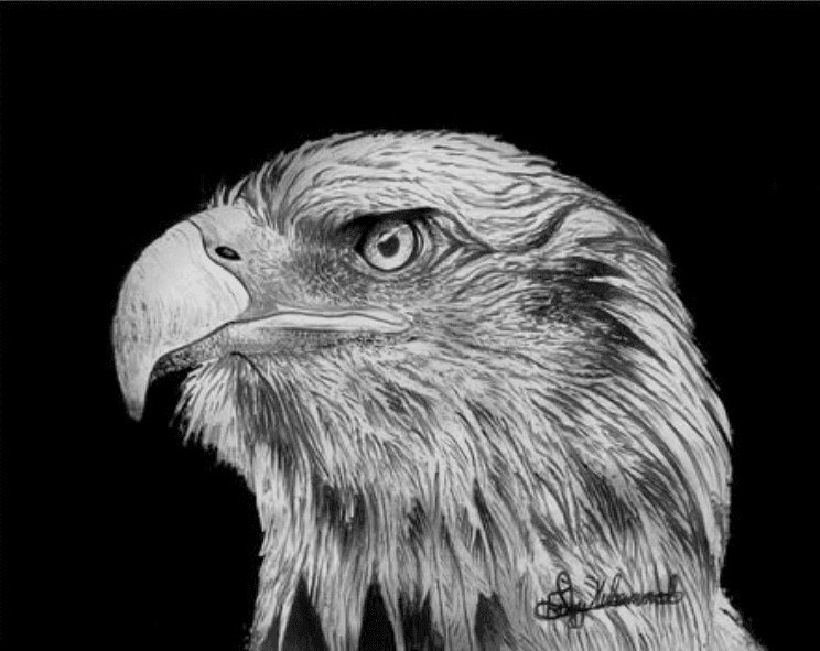 portrait in grafite - image 1