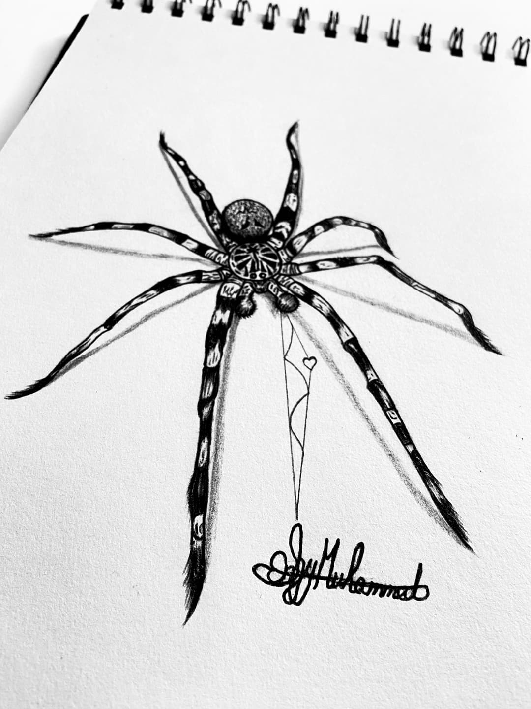 spider